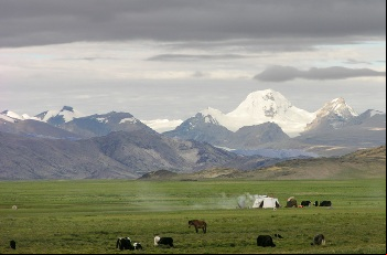 Poker Plateau